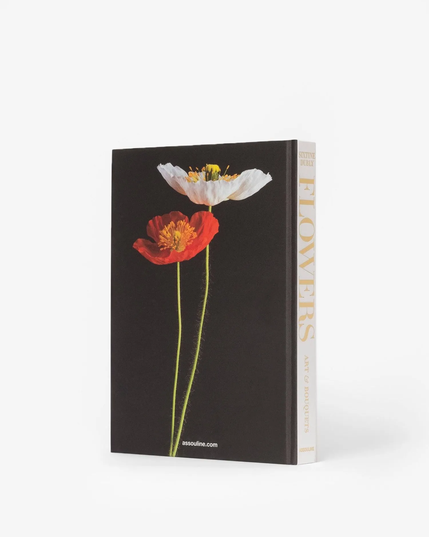 Assouline Kunst^Bloemen: Kunst En Boeketten