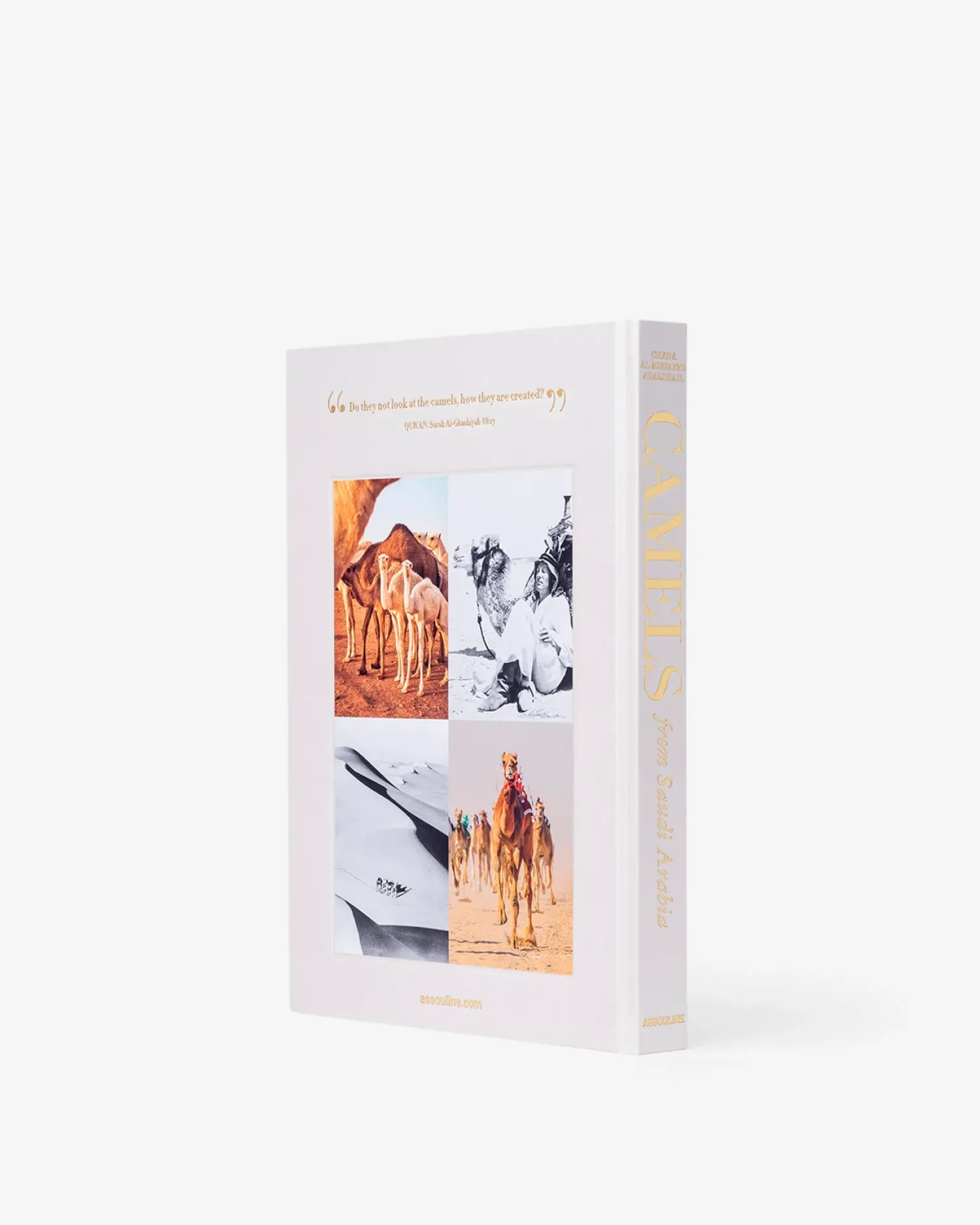 Assouline Reis^Kamelen Uit Saoedi-Arabie (Klassiek)
