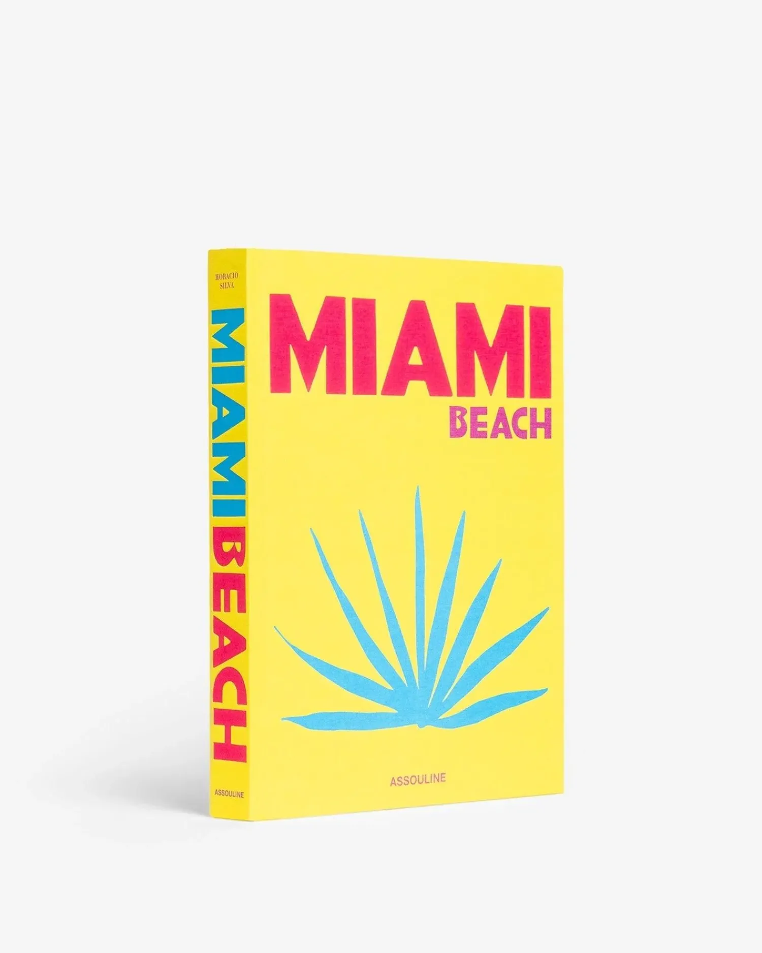 Assouline Reis^Miami-Strand