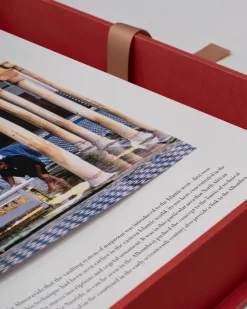 Assouline Architectonisch Ontwerp^Moskeeen: De 100 Meest Iconische Islamitische Gebedshuizen