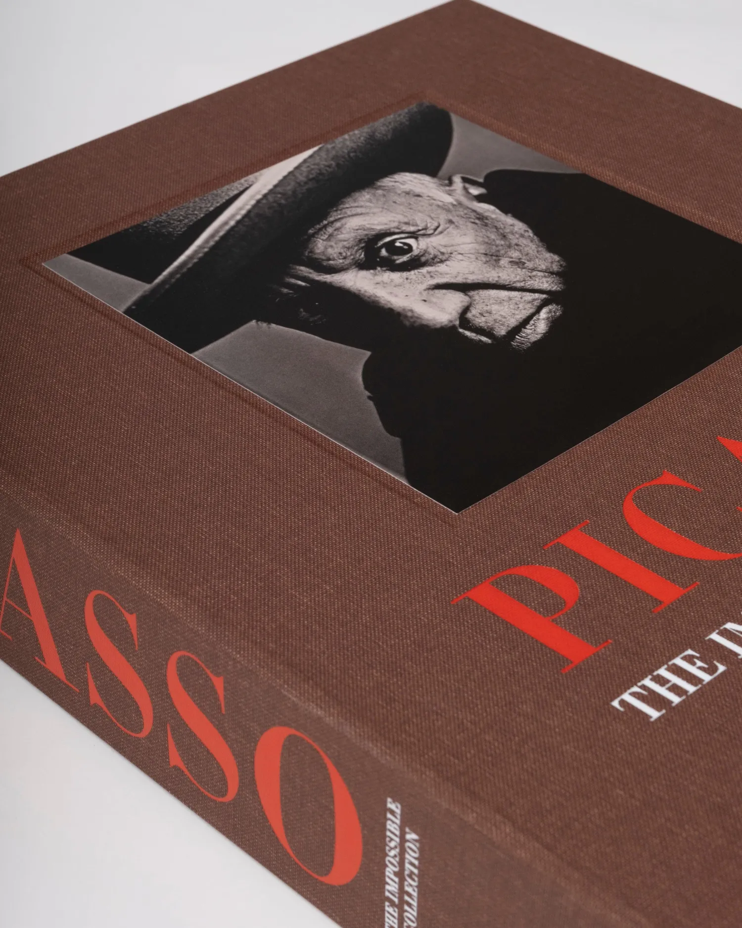 Assouline Kunst^Pablo Picasso: De Onmogelijke Collectie