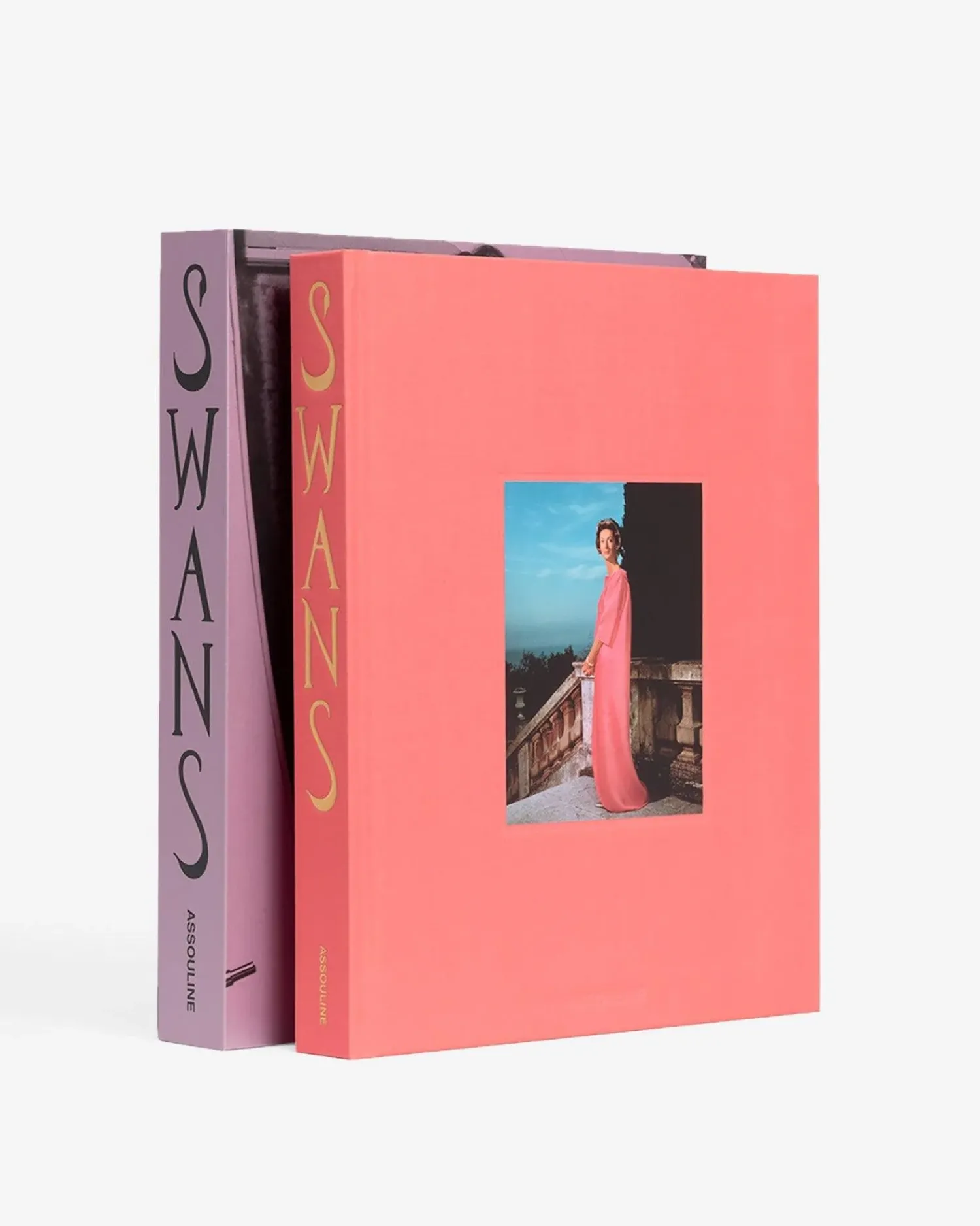Assouline Reis^Zwanen: Legenden Van De Jet Society